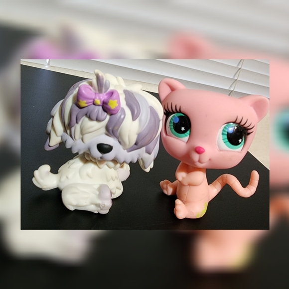 Littlest Pet Shop Authentic Bundle  (10) - Picture 8 of 11